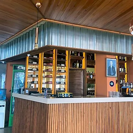 酒店 帕斯菲克酒店 2*